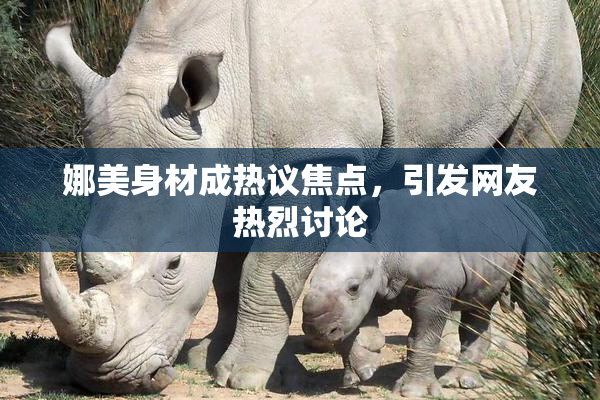 娜美身材成热议焦点，引发网友热烈讨论