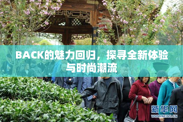 BACK的魅力回归，探寻全新体验与时尚潮流