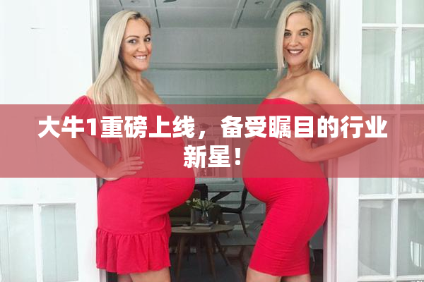 大牛1重磅上线，备受瞩目的行业新星！