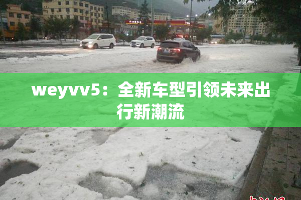 weyvv5：全新车型引领未来出行新潮流