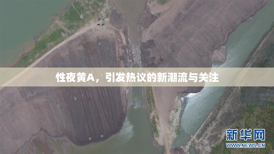 性夜黄A，引发热议的新潮流与关注