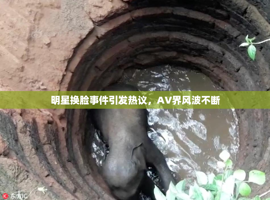 明星换脸事件引发热议，AV界风波不断