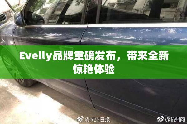 Evelly品牌重磅发布，带来全新惊艳体验