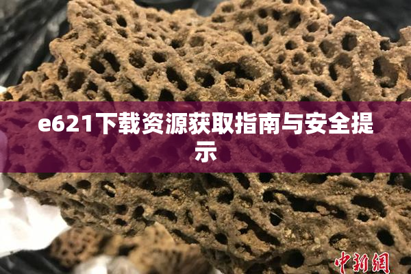 e621下载资源获取指南与安全提示