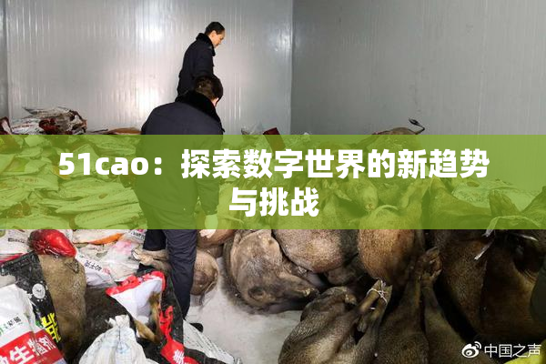 51cao：探索数字世界的新趋势与挑战