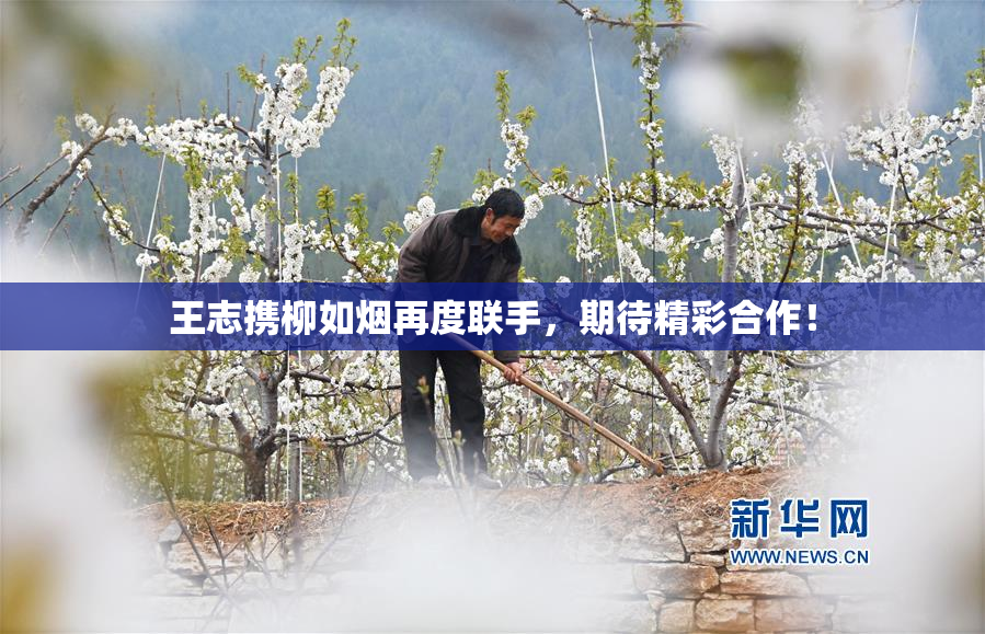 王志携柳如烟再度联手，期待精彩合作！