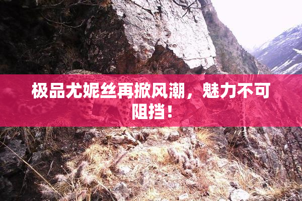 极品尤妮丝再掀风潮，魅力不可阻挡！