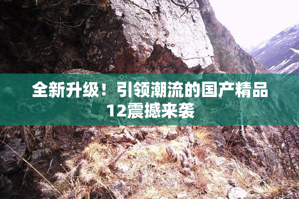 全新升级！引领潮流的国产精品12震撼来袭