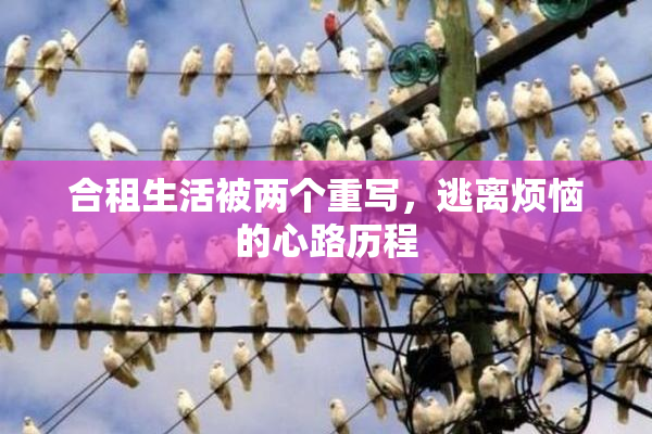 合租生活被两个重写，逃离烦恼的心路历程