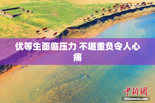 优等生面临压力 不堪重负令人心痛