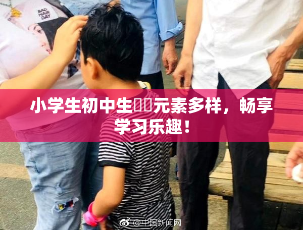 小学生初中生❌‌元素多样，畅享学习乐趣！