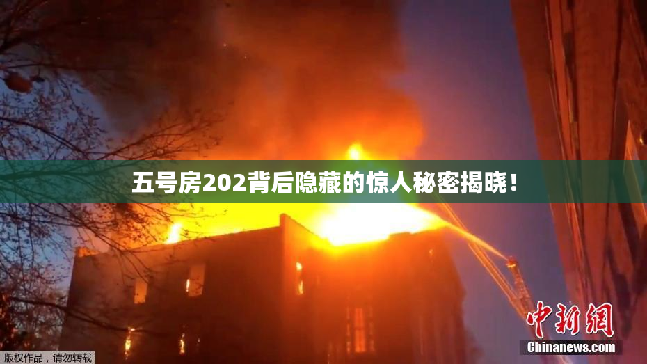 五号房202背后隐藏的惊人秘密揭晓！