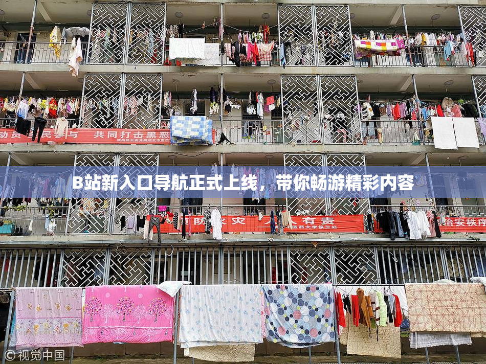 B站新入口导航正式上线，带你畅游精彩内容