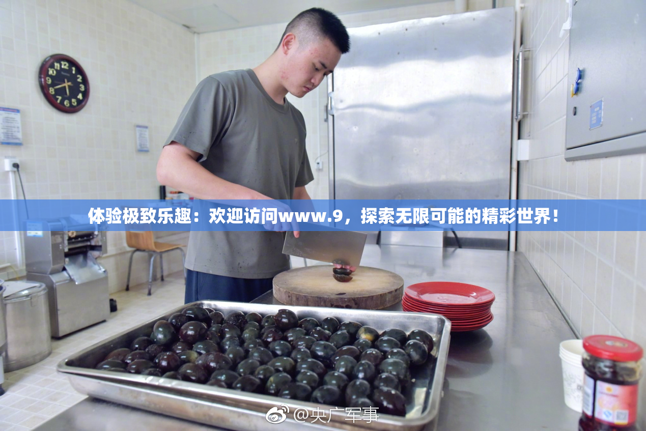 体验极致乐趣：欢迎访问www.9，探索无限可能的精彩世界！