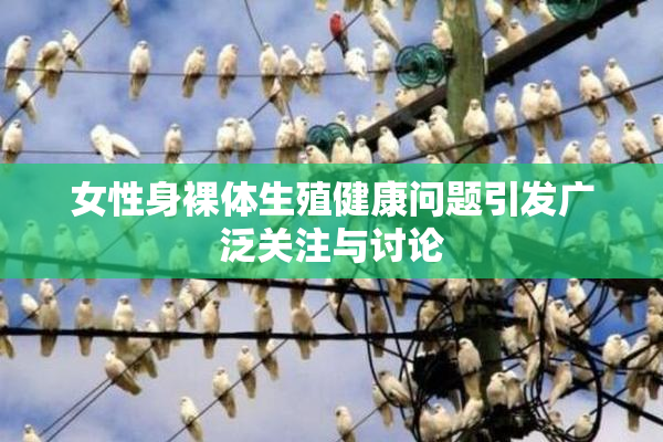 女性身裸体生殖健康问题引发广泛关注与讨论