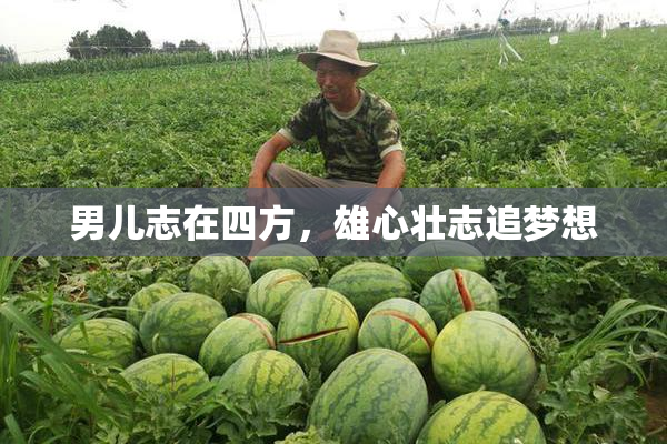 男儿志在四方，雄心壮志追梦想