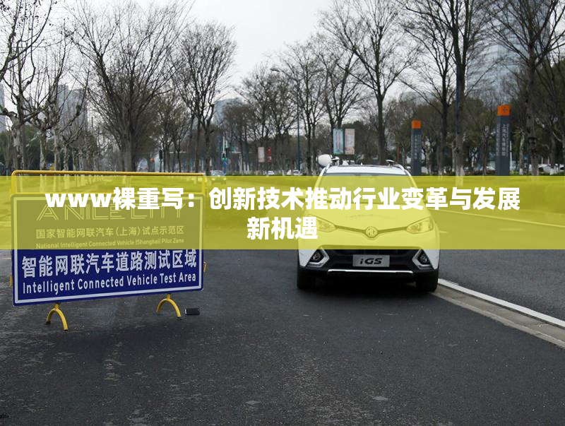 www裸重写：创新技术推动行业变革与发展新机遇