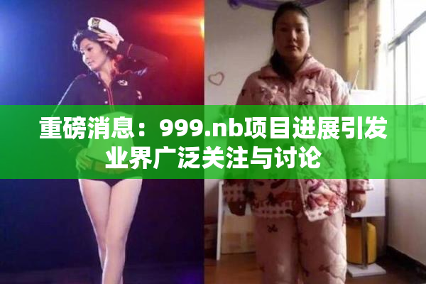 重磅消息：999.nb项目进展引发业界广泛关注与讨论