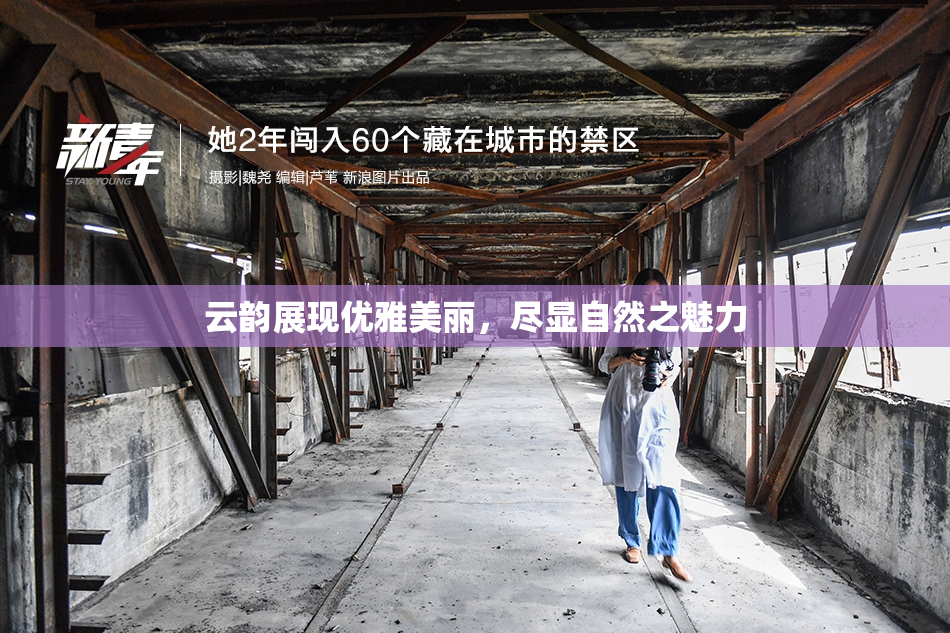 云韵展现优雅美丽，尽显自然之魅力