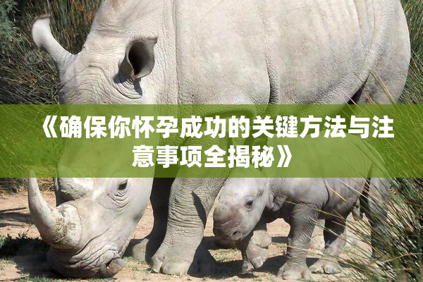 《确保你怀孕成功的关键方法与注意事项全揭秘》