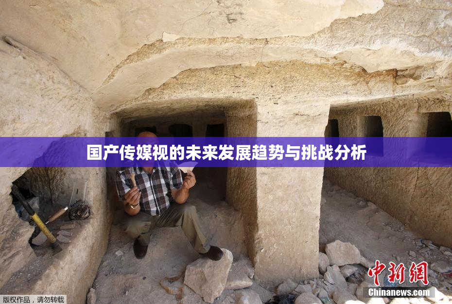 国产传媒视的未来发展趋势与挑战分析