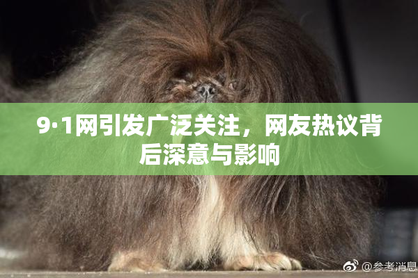 9·1网引发广泛关注，网友热议背后深意与影响