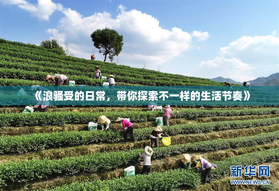 《浪骚受的日常，带你探索不一样的生活节奏》