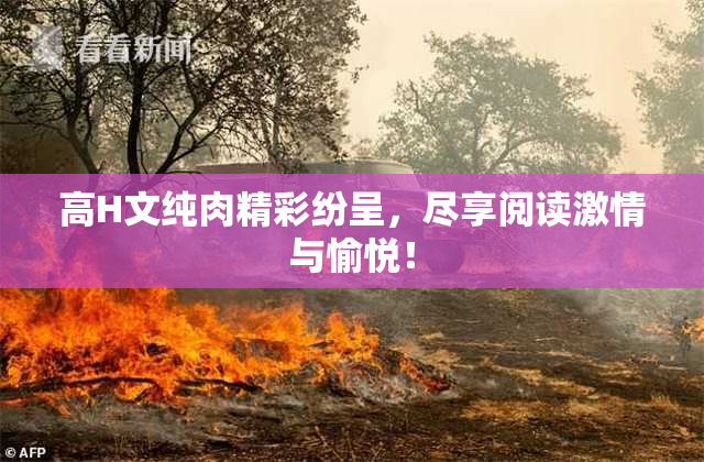 高H文纯肉精彩纷呈，尽享阅读激情与愉悦！