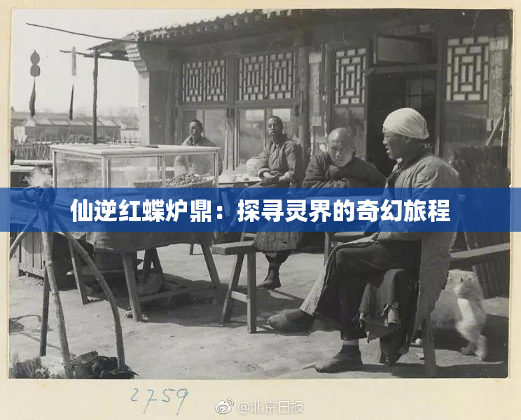 仙逆红蝶炉鼎：探寻灵界的奇幻旅程
