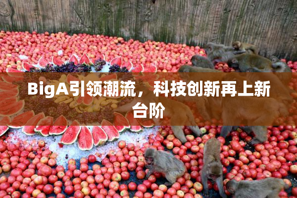 BigA引领潮流，科技创新再上新台阶