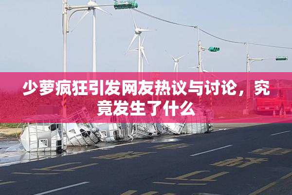少萝疯狂引发网友热议与讨论，究竟发生了什么