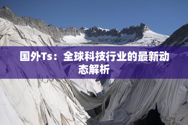 国外Ts：全球科技行业的最新动态解析