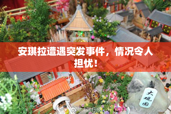 安琪拉遭遇突发事件，情况令人担忧！