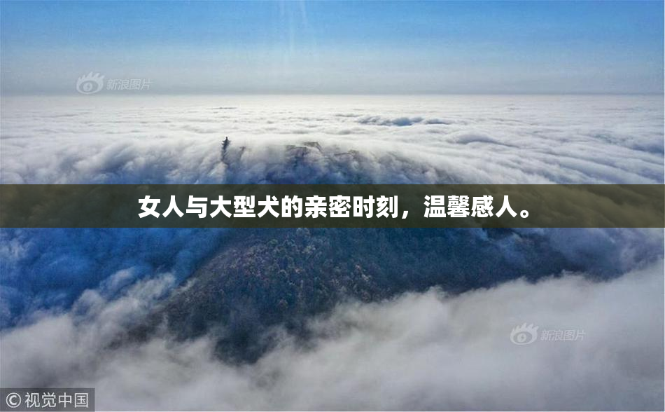 女人与大型犬的亲密时刻，温馨感人。
