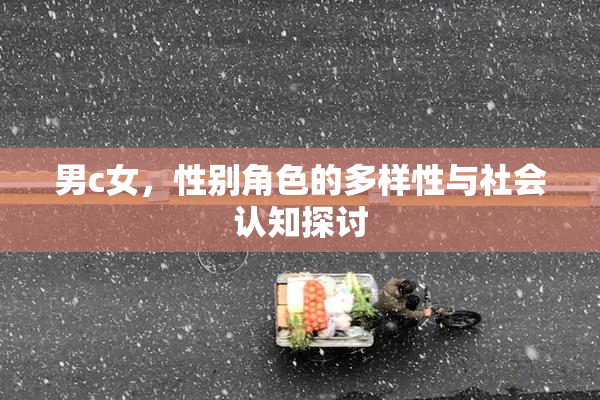 男c女，性别角色的多样性与社会认知探讨