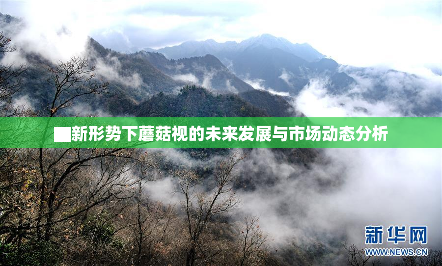 ▇新形势下蘑菇视的未来发展与市场动态分析