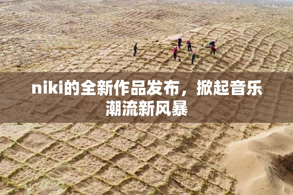 niki的全新作品发布，掀起音乐潮流新风暴