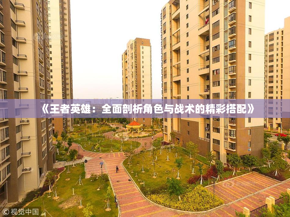 《王者英雄：全面剖析角色与战术的精彩搭配》