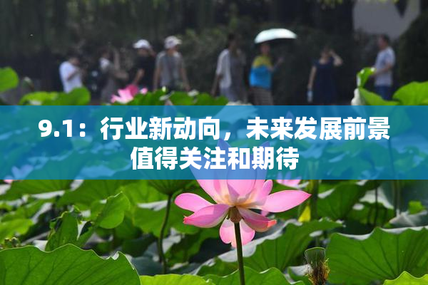 9.1：行业新动向，未来发展前景值得关注和期待