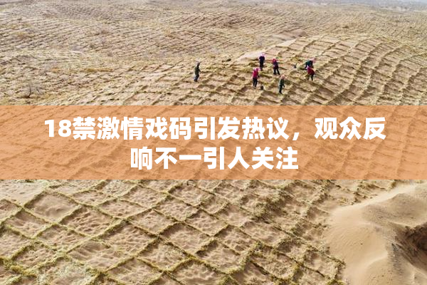 18禁激情戏码引发热议，观众反响不一引人关注