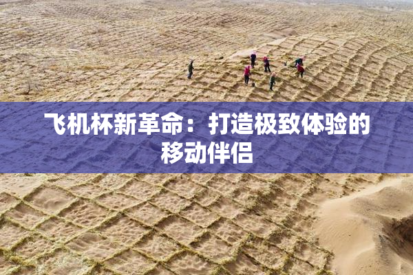 飞机杯新革命：打造极致体验的移动伴侣