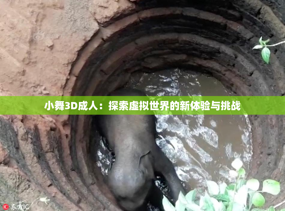 小舞3D成人：探索虚拟世界的新体验与挑战