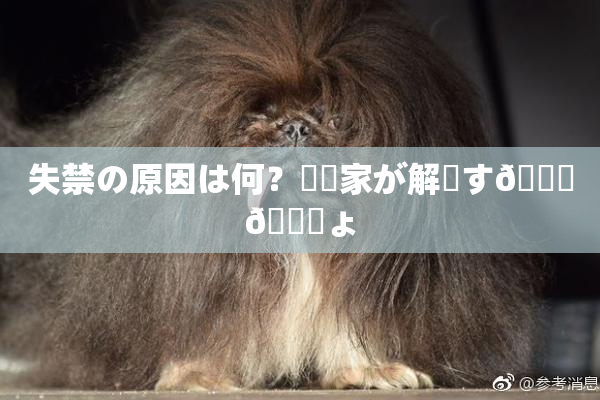 失禁の原因は何？専門家が解説す🌃🎆ょ