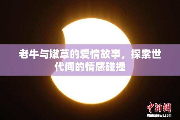 老牛与嫩草的爱情故事，探索世代间的情感碰撞
