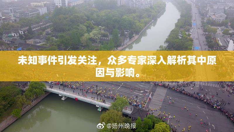 未知事件引发关注，众多专家深入解析其中原因与影响。