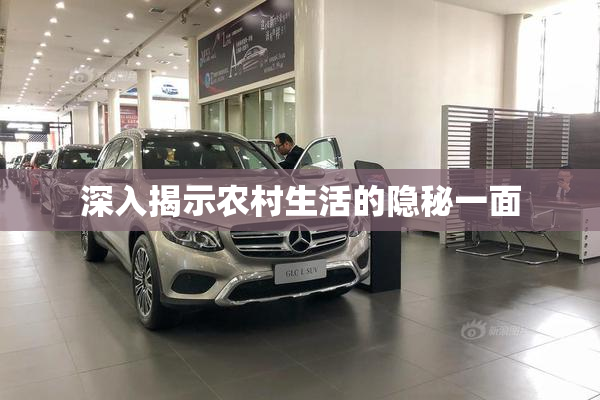 深入揭示农村生活的隐秘一面