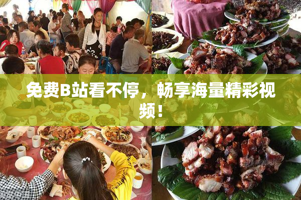 免费B站看不停，畅享海量精彩视频！