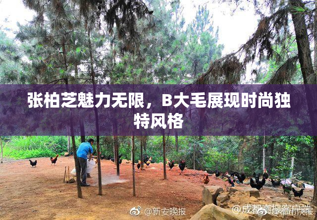 张柏芝魅力无限，B大毛展现时尚独特风格
