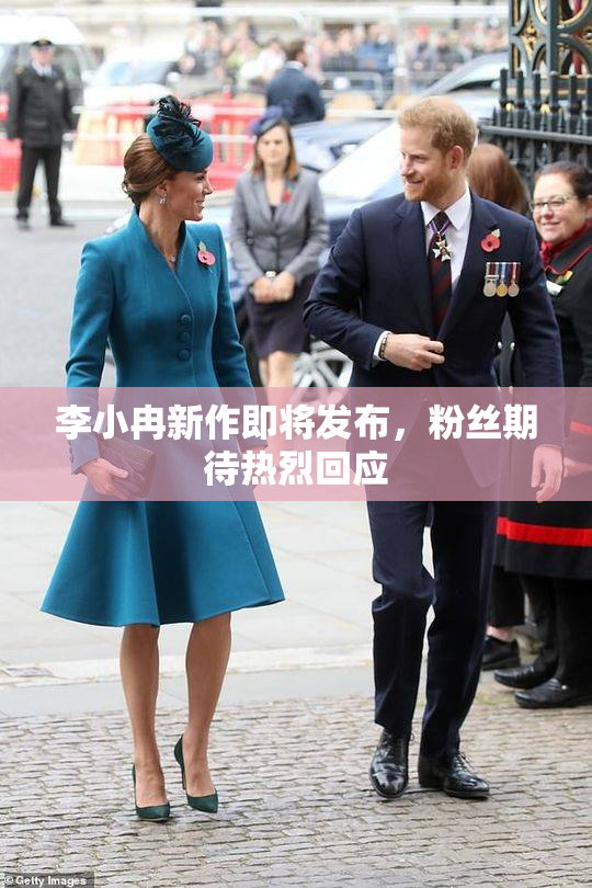李小冉新作即将发布，粉丝期待热烈回应