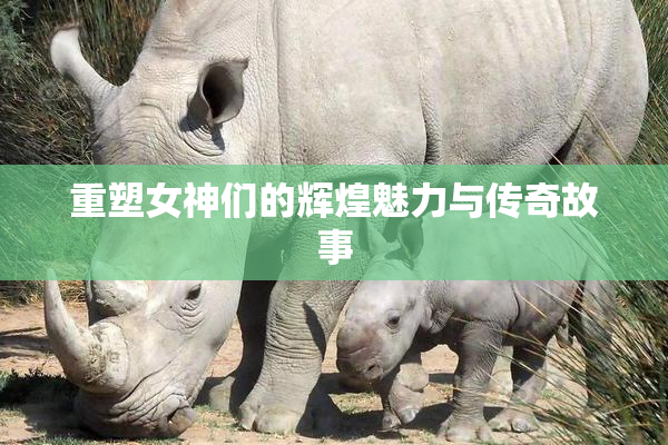 重塑女神们的辉煌魅力与传奇故事